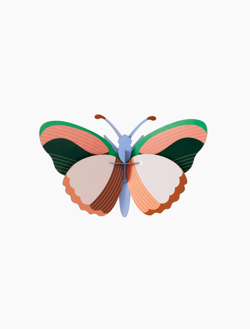 MARIPOSA SYCAMORE
