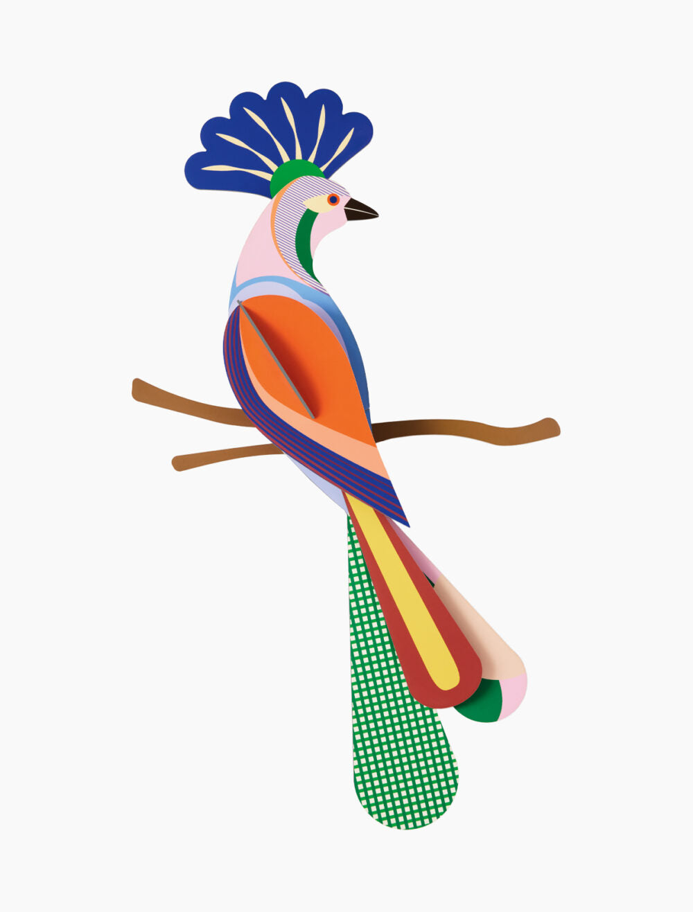 PÁJARO TINJIL