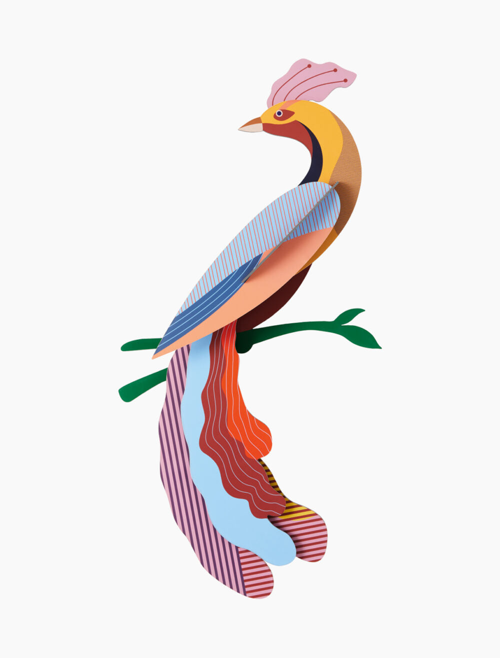 PÁJARO NUSA