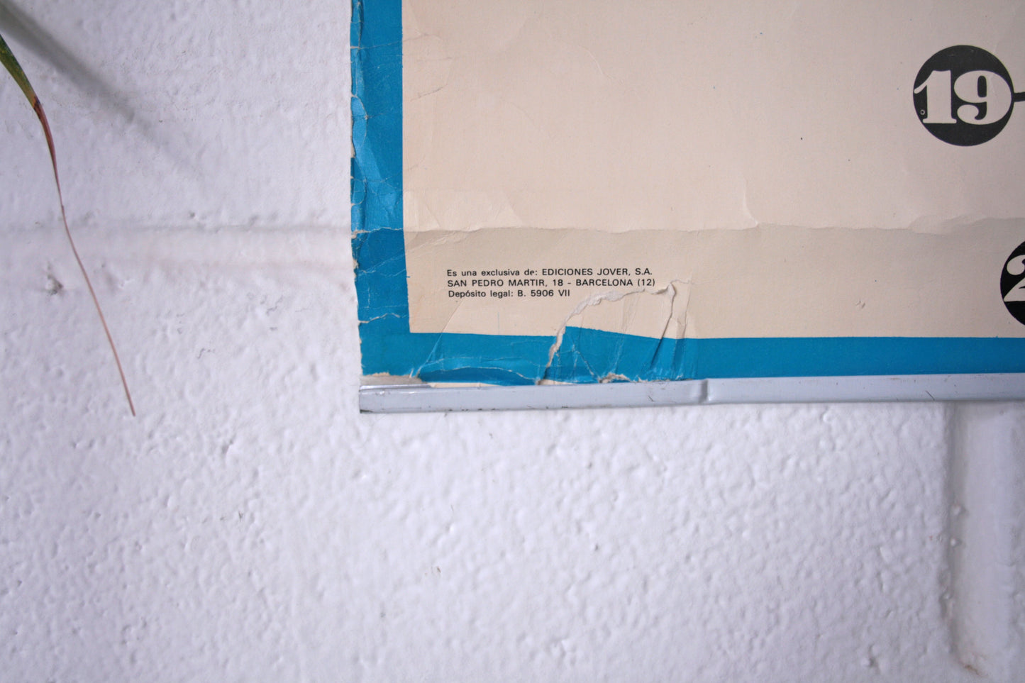 Cartel músculos cara posterior.
