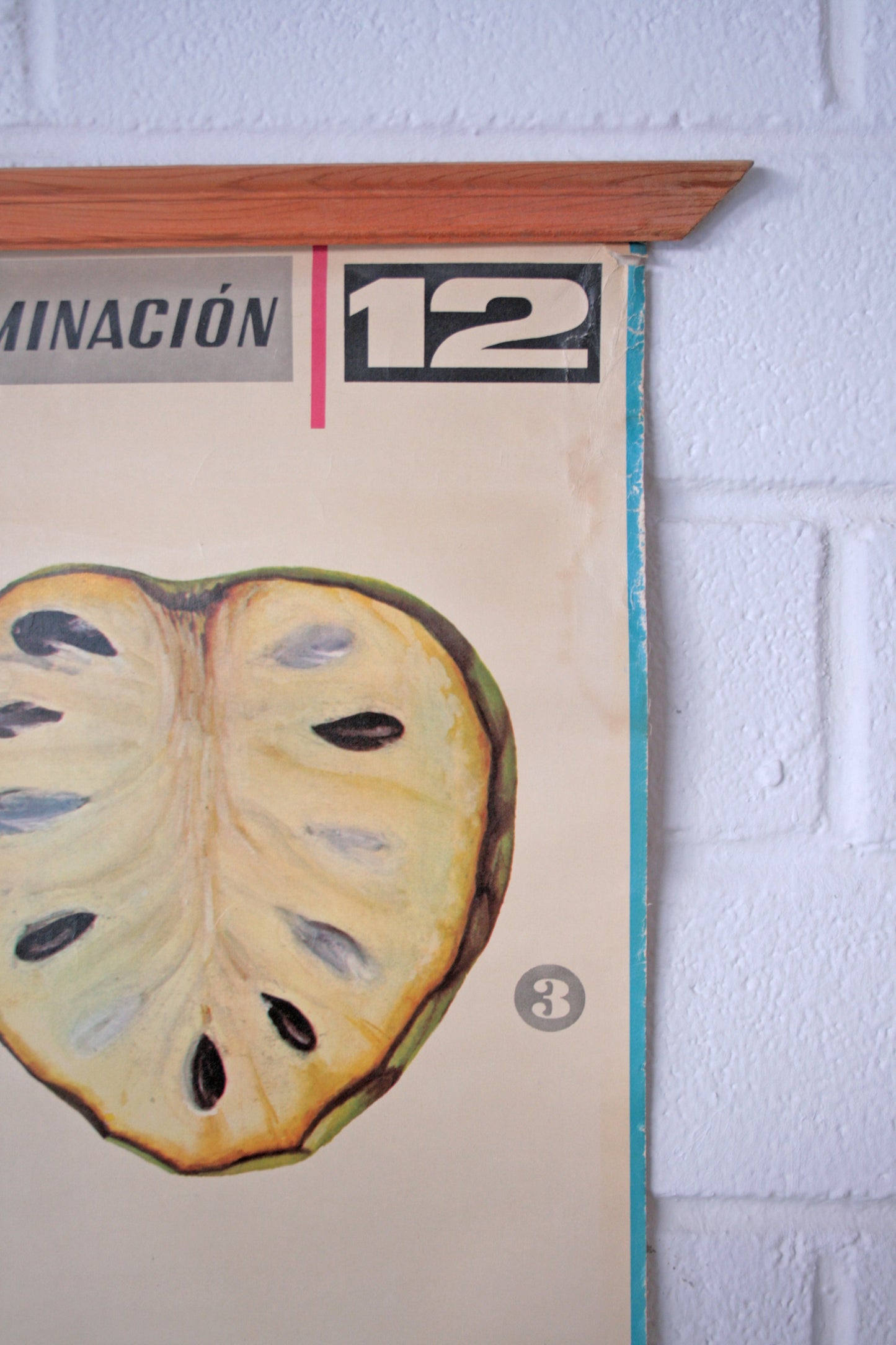 Carteles botánica