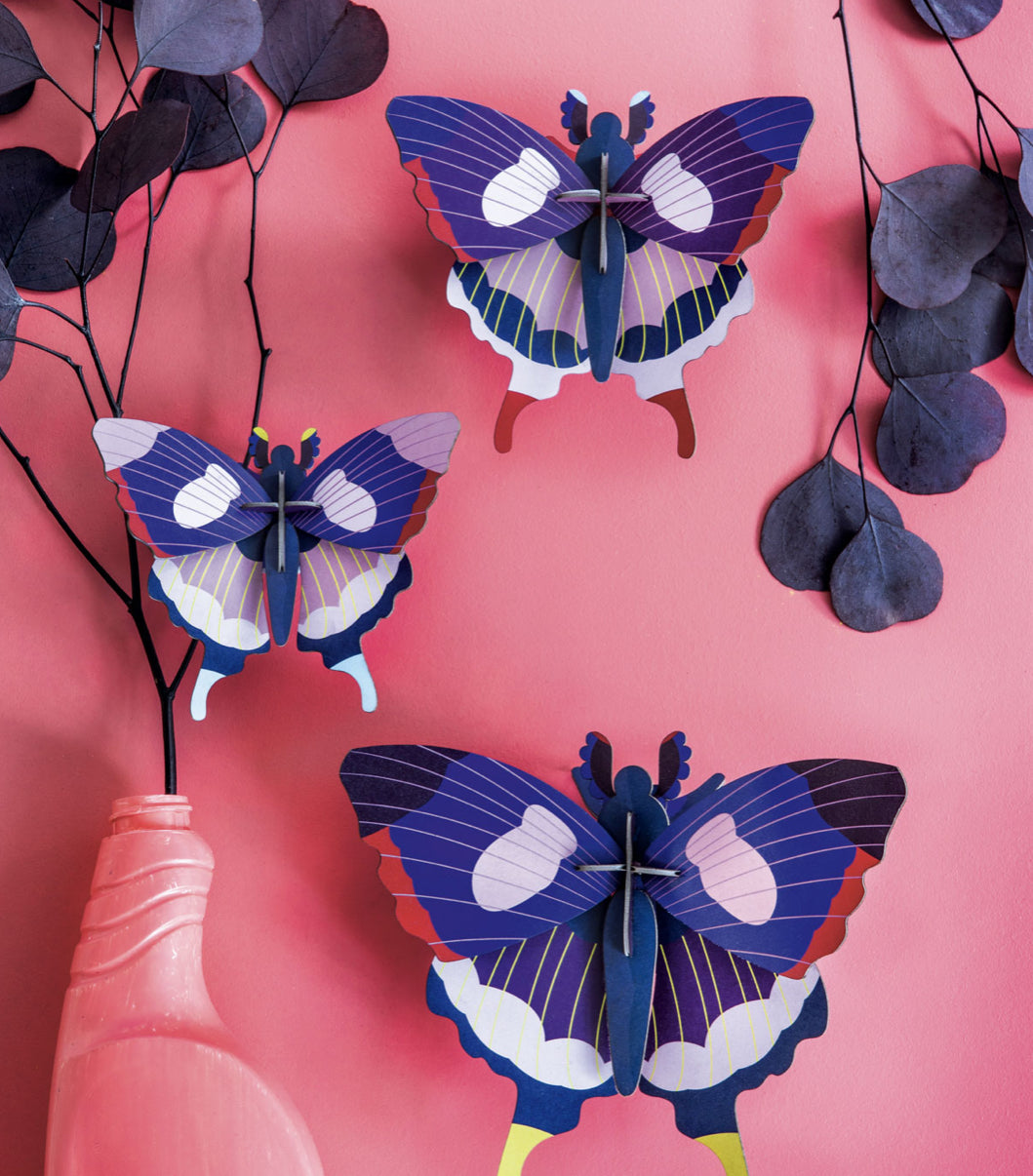 SET DE 3 MARIPOSAS COLA DE GOLONDRINA