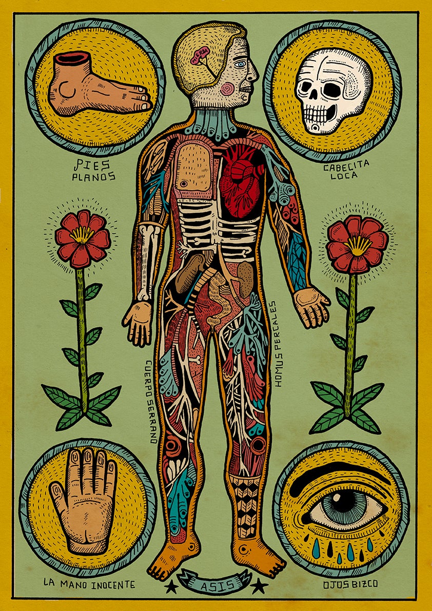 ANATOMÍA DE UN CUERPO SESI.