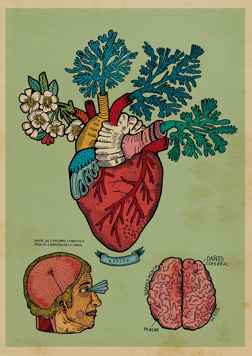CORAZÓN