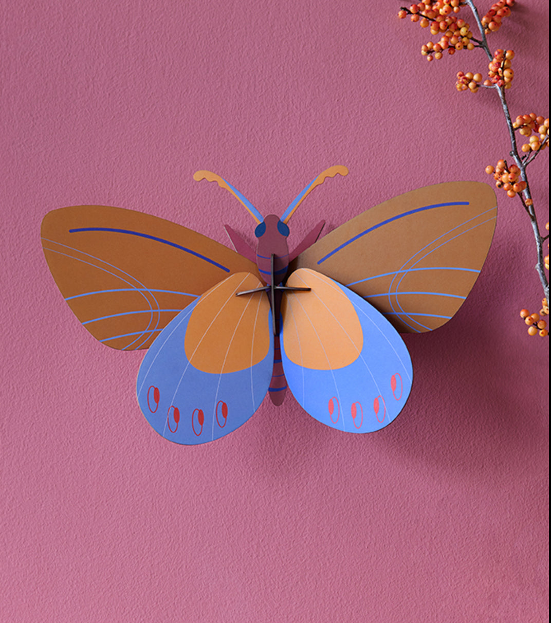 MARIPOSA COSTA OCRE
