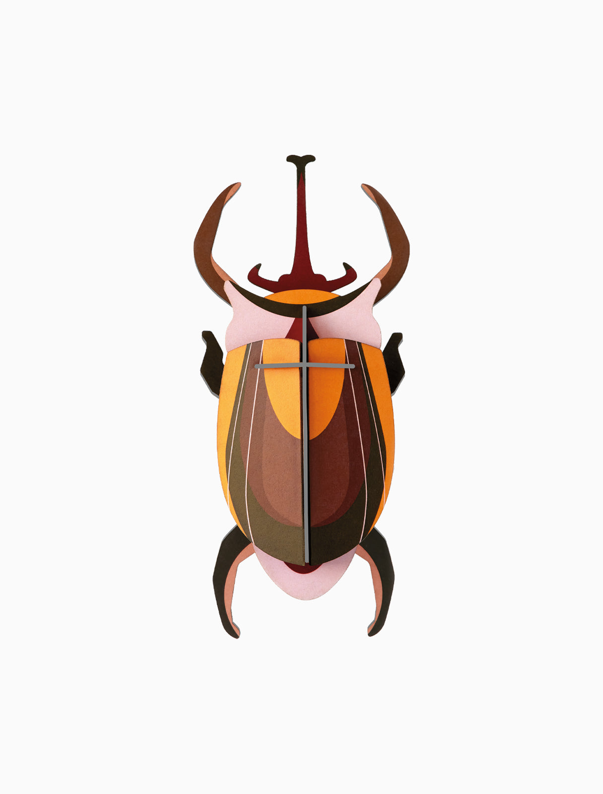 ESCARABAJO ELEFANTE