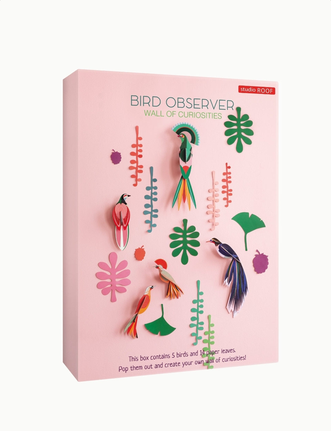 PARED DE LAS CURIOSIDADES PÁJAROS