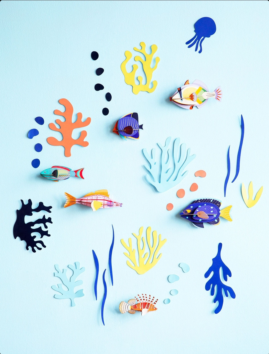 PARED DE LAS CURIOSIDADES MARINAS