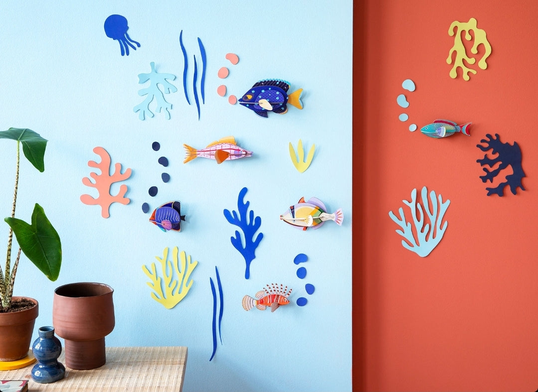 PARED DE LAS CURIOSIDADES MARINAS
