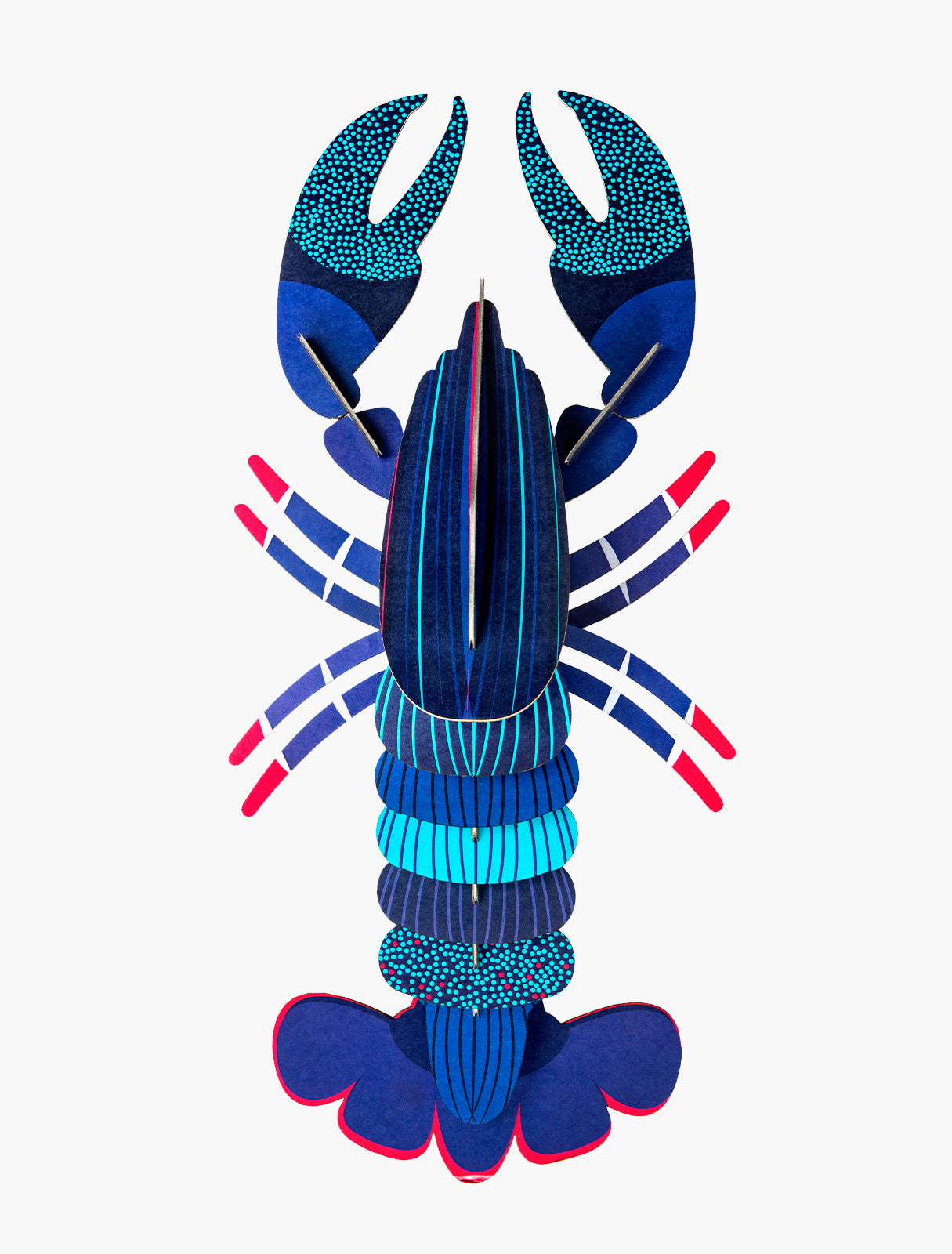 LANGOSTA AZUL