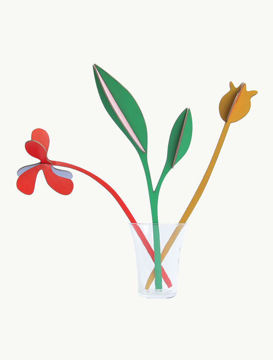 BOUQUET DE PRIMAVERA BOOGIE