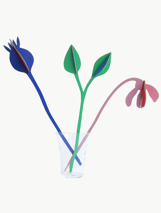 BOUQUET DE VERANO JAZZ