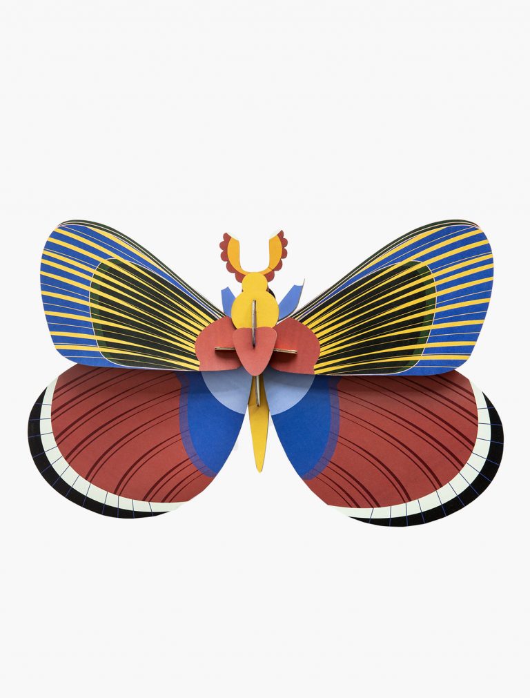 MARIPOSA GIGANTE