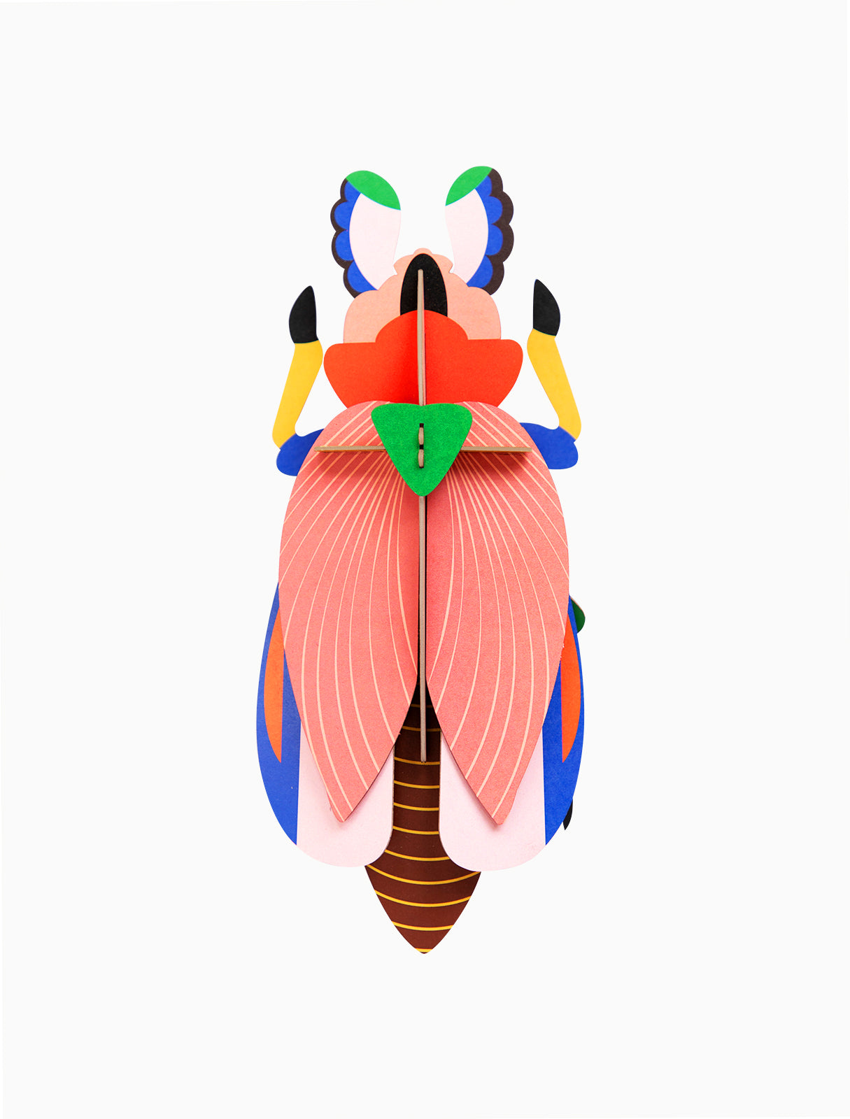 HEMBRA ESACARABAJO GIGANTE
