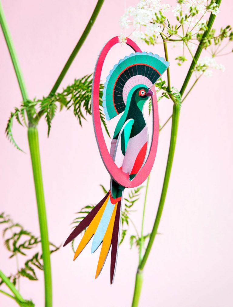POP UP GILI