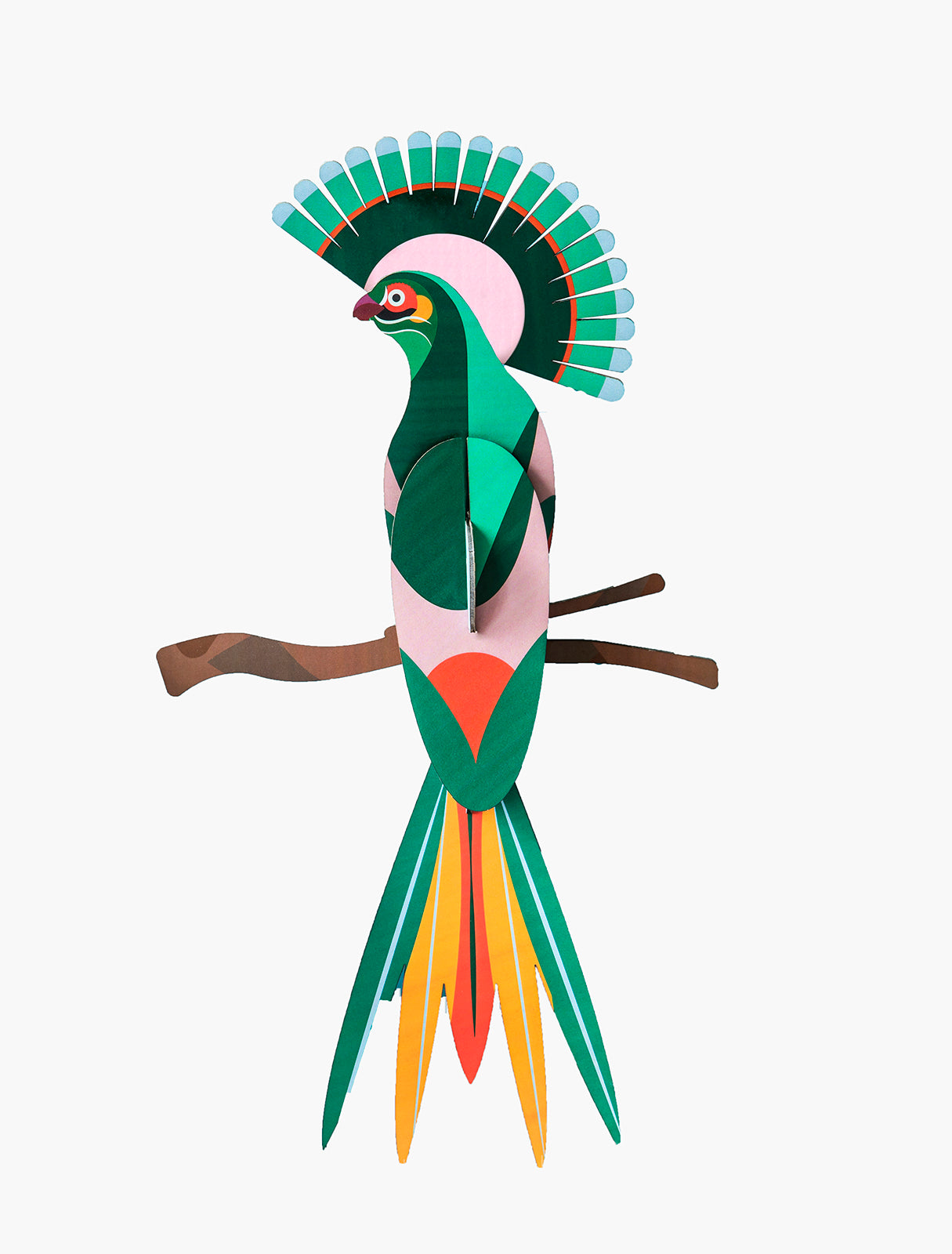 AVE DEL PARAÍSO GILI