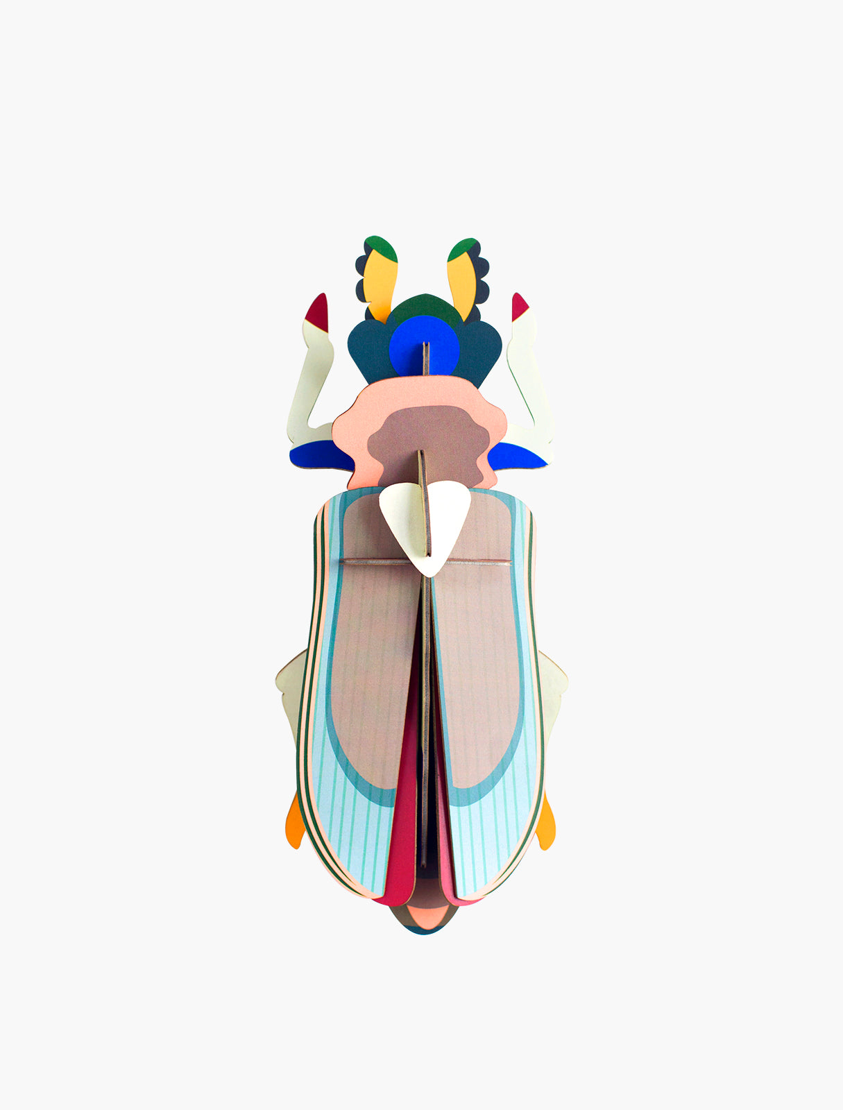 ESCARABAJO TIGRE