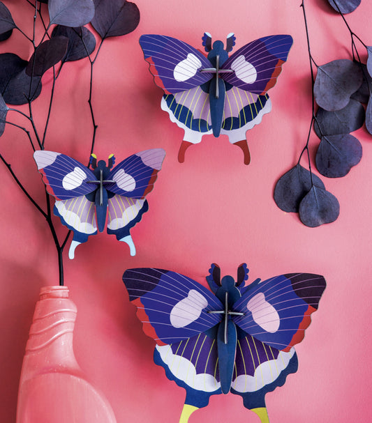 SET DE 3 MARIPOSAS COLA DE GOLONDRINA