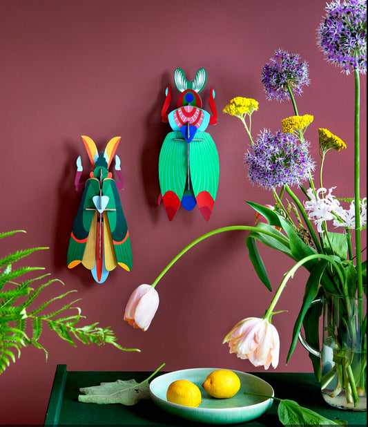 ESCARABAJO GRAN SCARAB