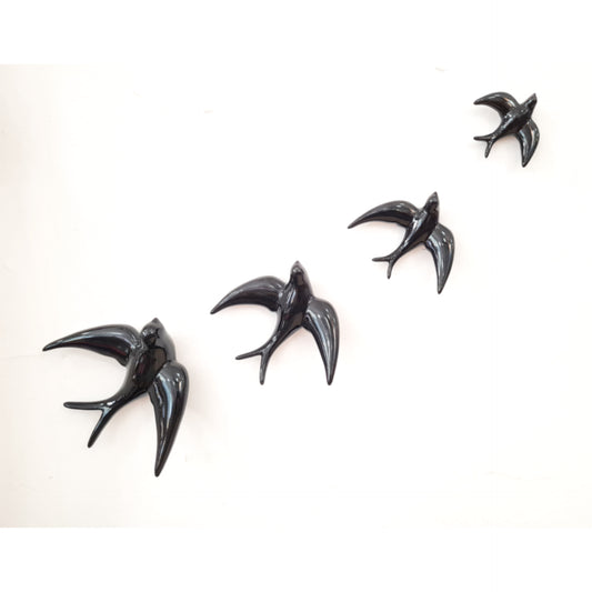 FAMILIA DE GOLONDRINAS NEGRAS