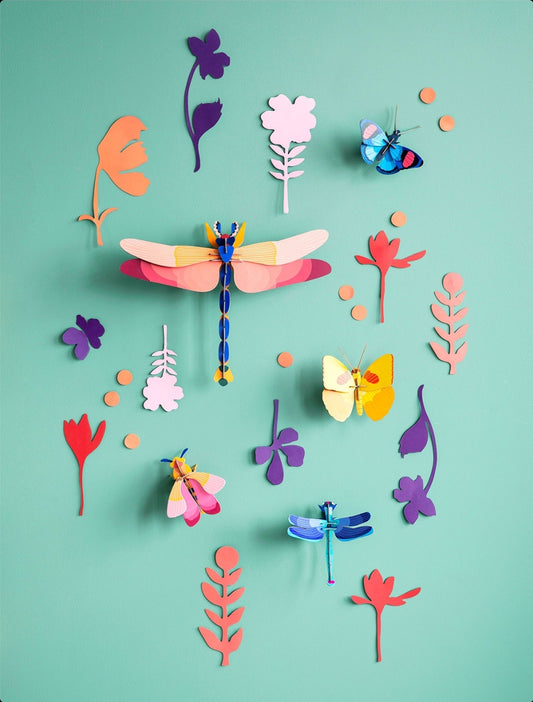 PARED DE LAS CURIOSIDADES INSECTOS