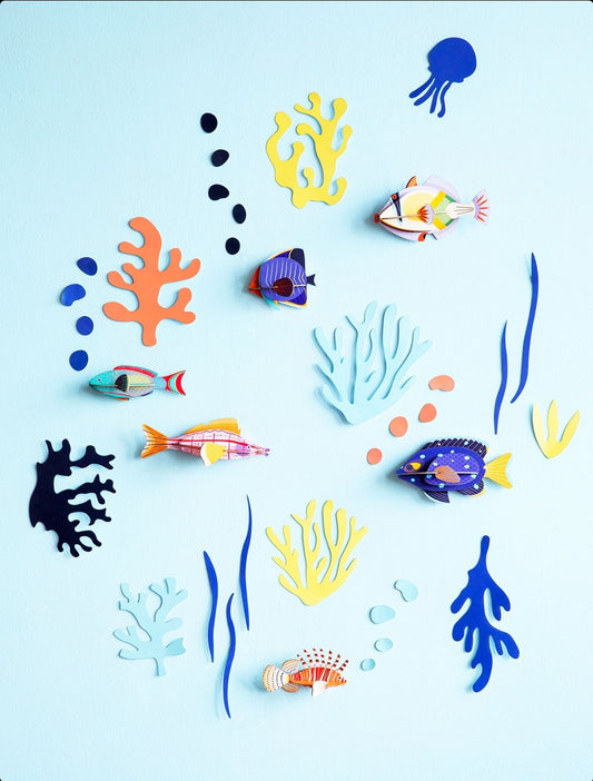 PARED DE LAS CURIOSIDADES MARINAS